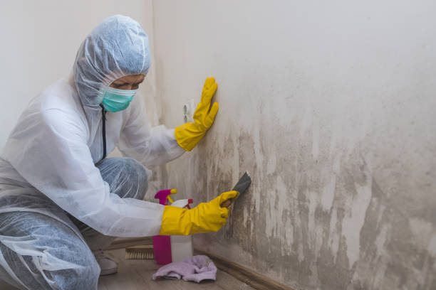 Best Commercial Mold Inspection  in Clancy, MT