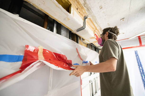 Best Attic Mold Removal  in Clancy, MT