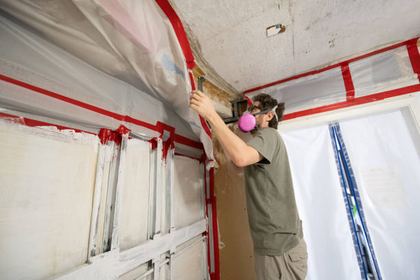 Mold Remediation for Rental Properties in Clancy, MT